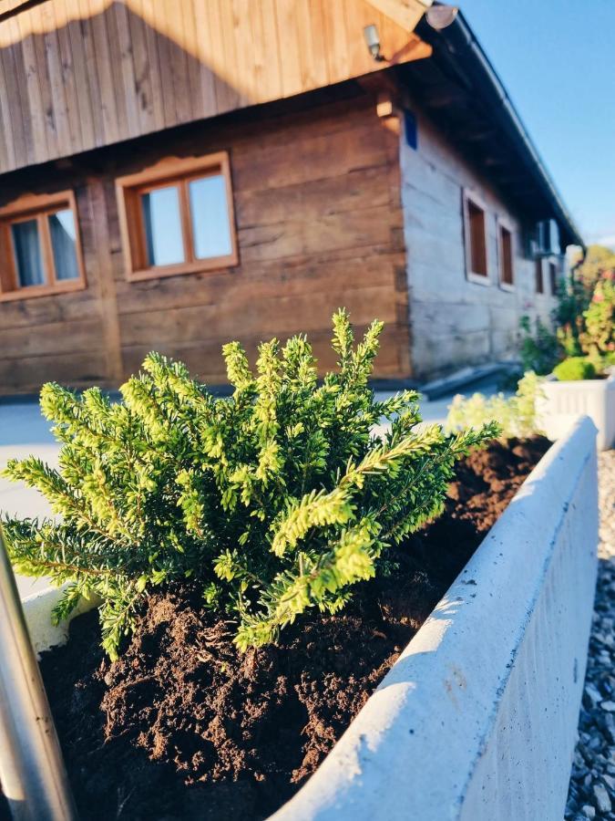 Penzion Kablarovo Brdo Krnjak Exteriér fotografie